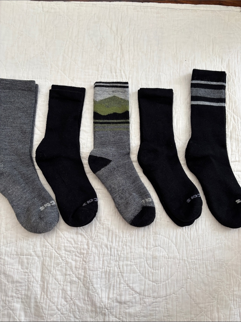 Pacas Sock Lot